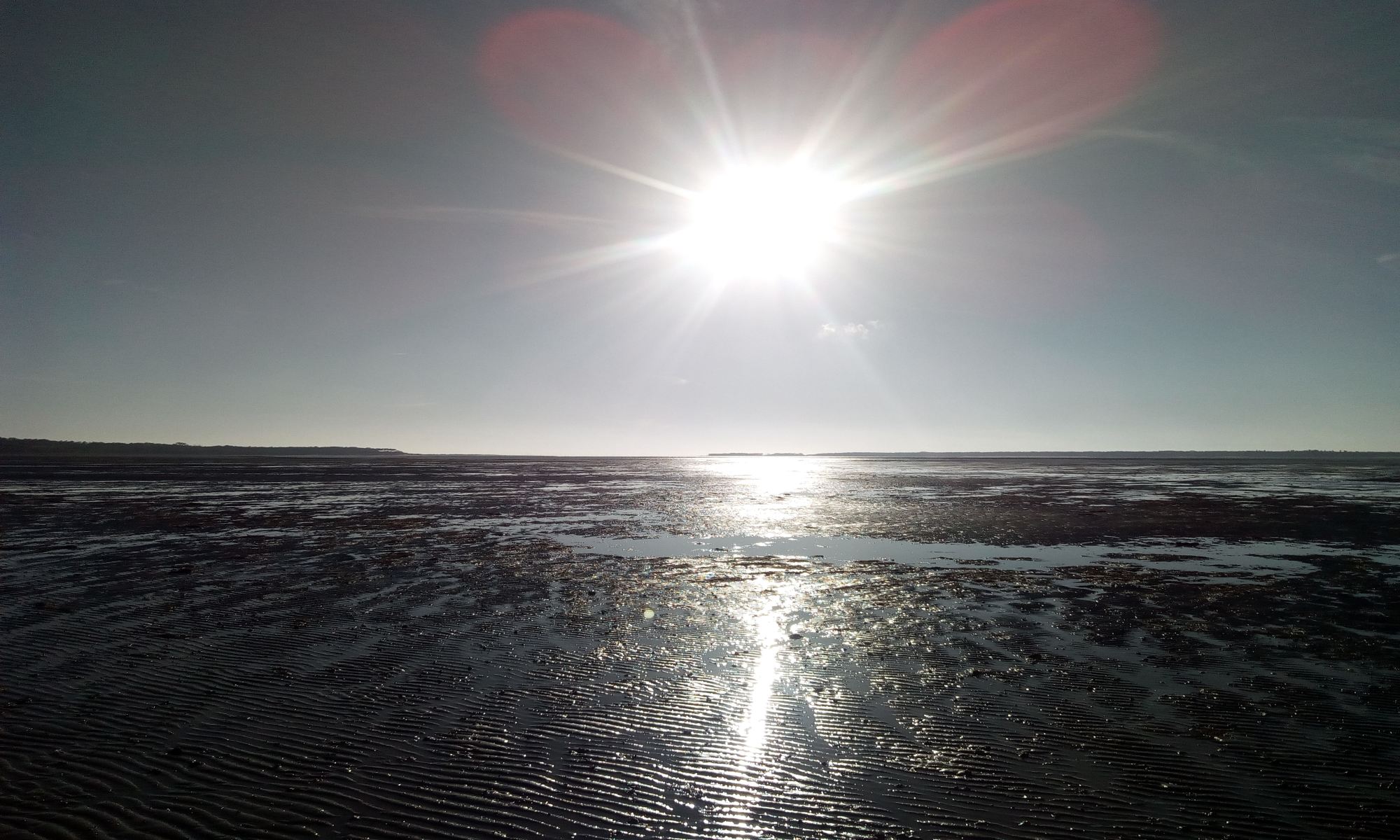 Location La Tremblade / Ronce les Bains